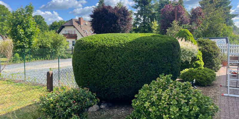 Terrasse fertiggestellt KW Dienstleistungen Lauta